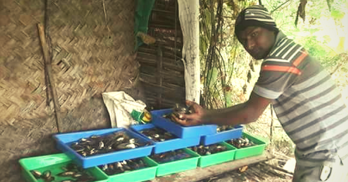 How Pearl Farming Helped This Farmer Grow Rich!