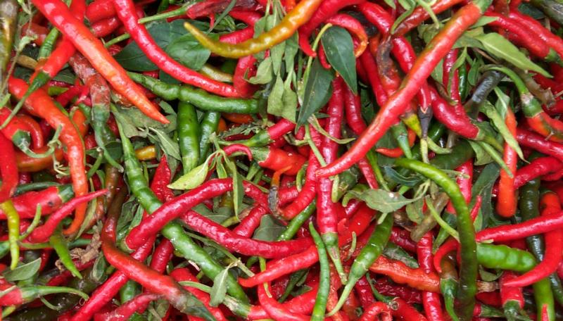 3 Villages in Karnataka Have Come Together to Save a Rare Variety of Chilli