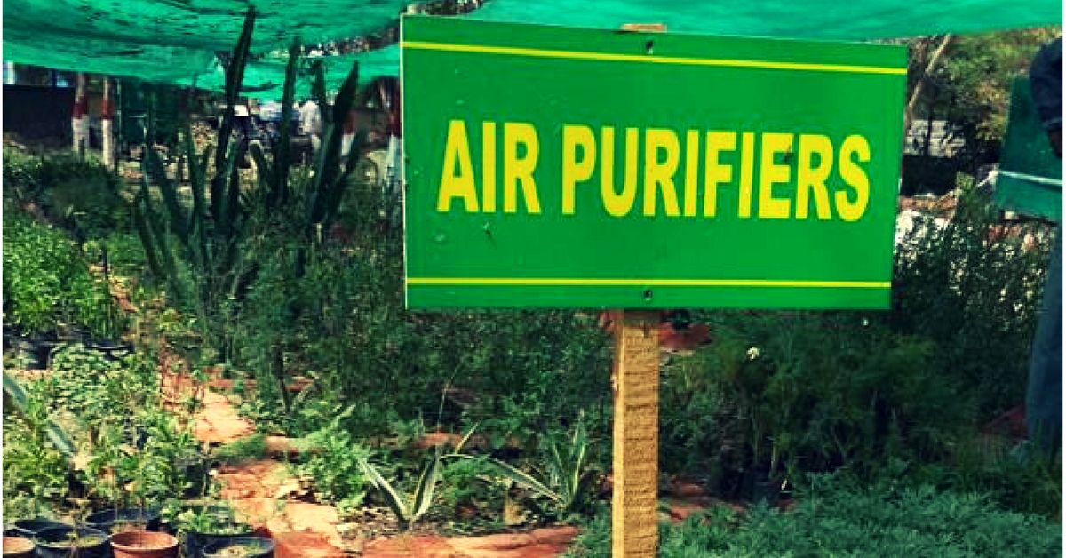 Noida, Delhi and NCR Residents Can Now Fight Air Pollution With These Oxygen Bombs!