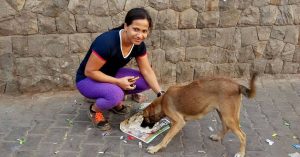 Why a Corporate Employee Spends Her Time Feeding & Taking Care of Hundreds of Dogs Around Delhi