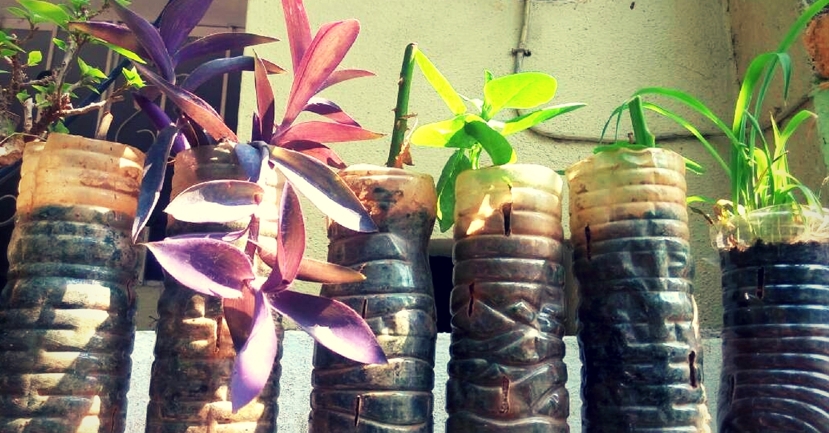 How This Bengaluru Man Made a Lush Garden With 250 Plants Using Old Plastic Bottles & Coconuts