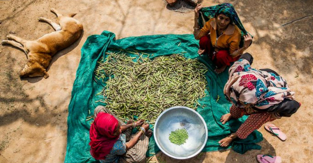 How a Couple, Who Moved to a Farm for a Slower Life, Ended up Starting a Village School