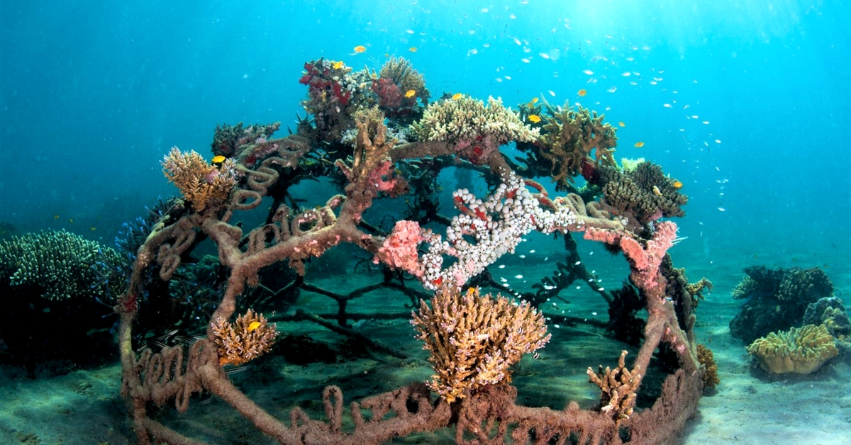 How Scientists Are Using Solar Energy to Regenerate Extinct Coral Reefs in India