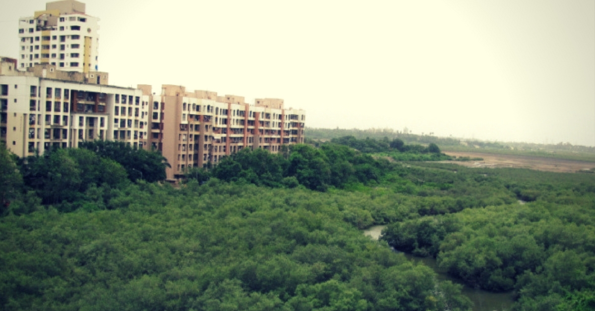 Mumbaikars Come Together to Clean up 20,000kg Trash From City’s Beloved Mangroves