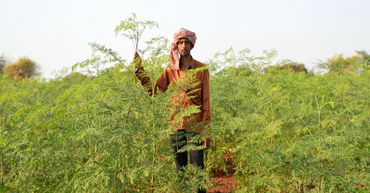 TBI Blogs: An Initiative Is Helping Thousands of Farmers Across Gujarat Discover Organic Farming