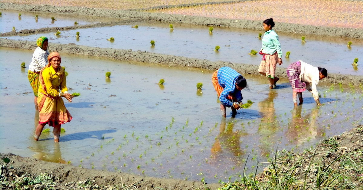 TBI Blogs: How a Revolutionary Programme Transformed a West Bengal Village Through High-Quality Farm Produce