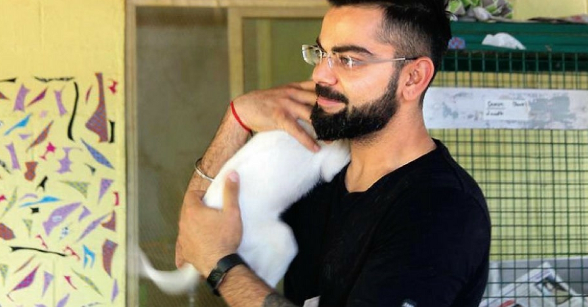 Virat Kohli Just Adopted 15 Destitute Dogs in Bengaluru and Won Everyone’s Hearts, Again