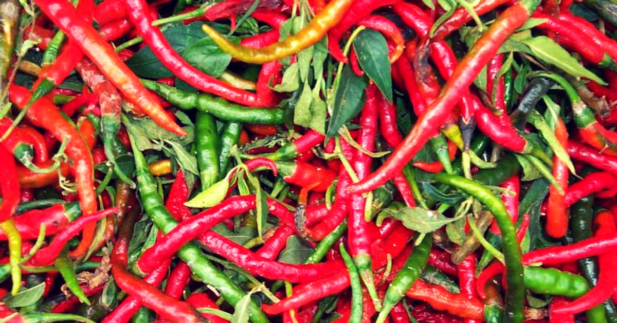 3 Villages in Karnataka Have Come Together to Save a Rare Variety of Chilli