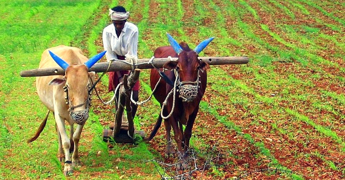 The Rs. 1 Crore Fund: An NRI's Plea to Help Indian Farmers from Thousands of Miles Away