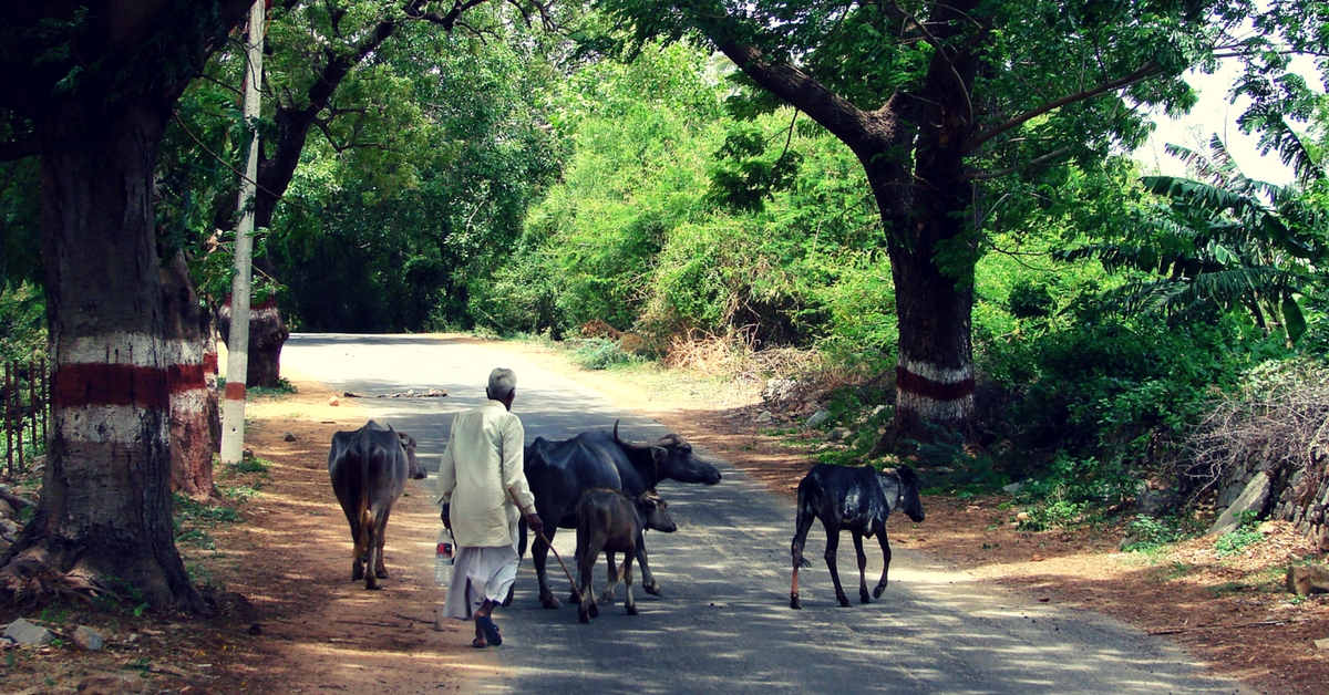 From Fighting Social Evils to Installing Solar Lights. Here’s How a Punjab Village Won a National Award