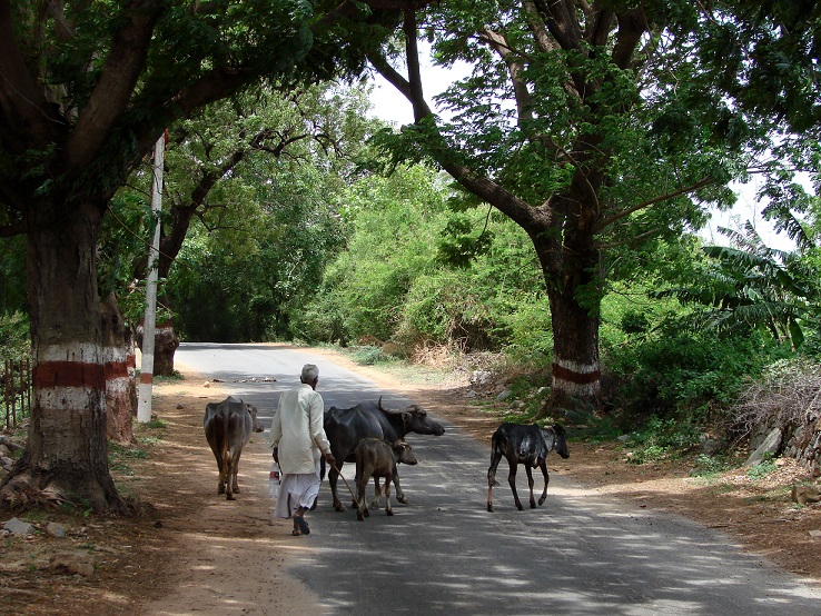 Here's How a Punjab Village Won a National Award