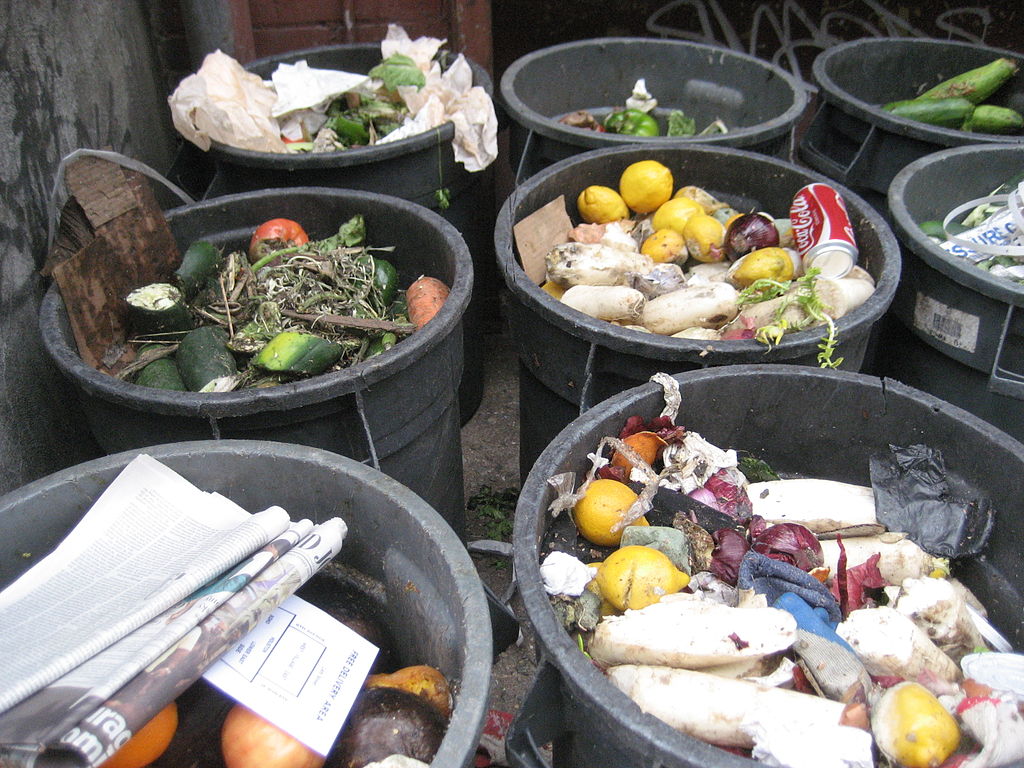 As India Does Its Bit to Tackle Food Waste, Here's What It Can Learn From  Other Countries!