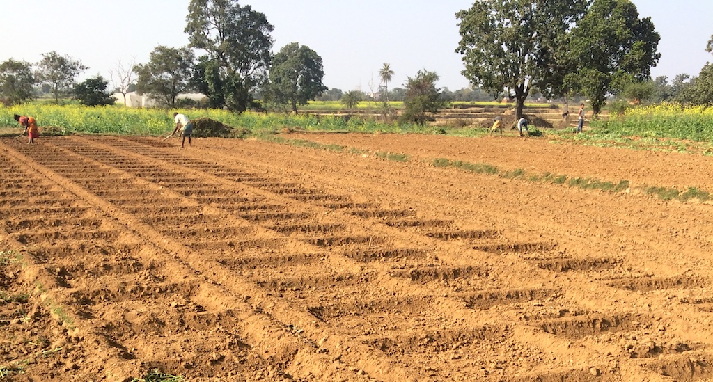 Farmers preparing a small field to grow vegetables in Jharkhand. (Photo by Bikalp Chamola)