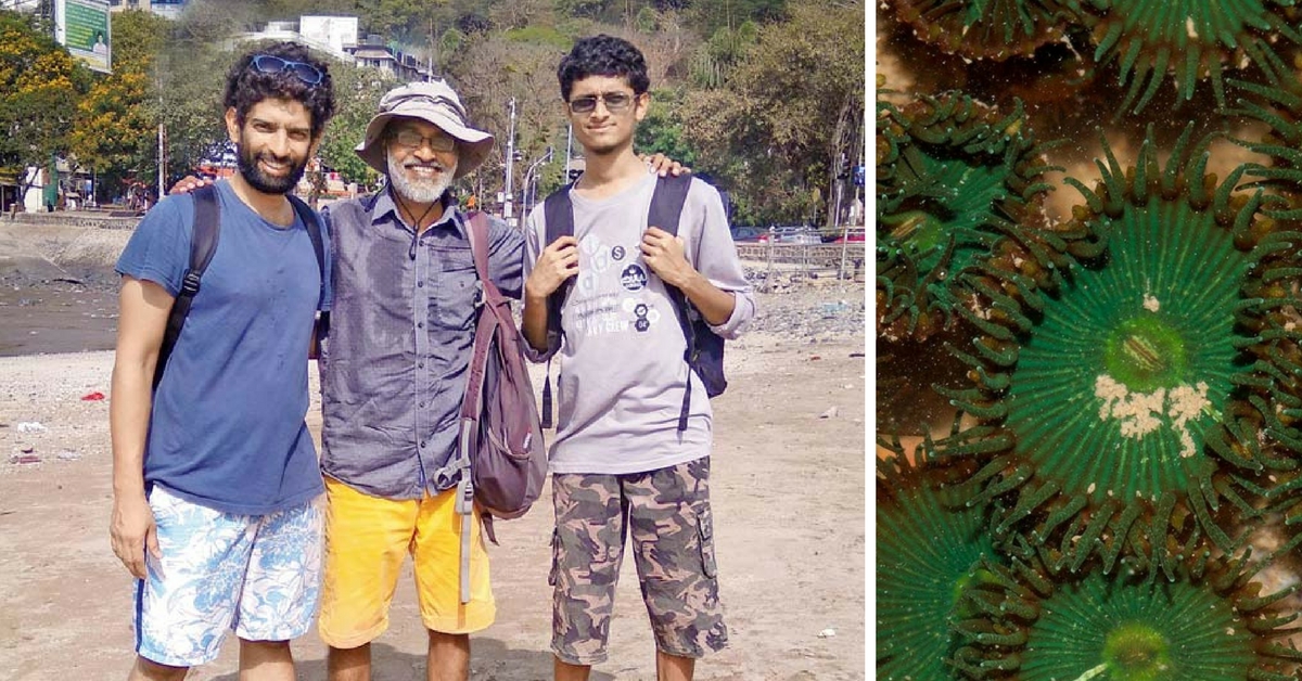 Corals, Sea Anemones and Starfish in Mumbai? This Trio Will Tell You Where to Find Them!