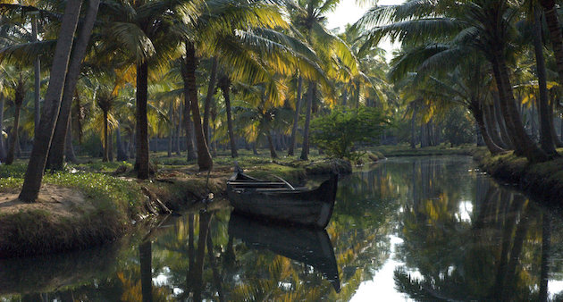 Wetlands are the lifeline of much of rural Kerala. Still many wetlands and small canal systems like the one in shown in this image from a Thiruvananthapuram village are now threated due to reclamation for construction. Such a trend upsets local water storage, well recharge and drainage. (Photo by Climatalk)