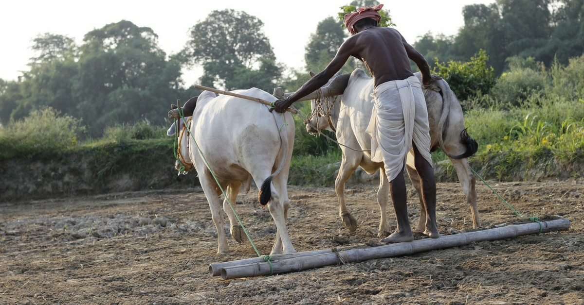 5 Times Indian Villages Took Extraordinary Measures to Fight & Defeat Drought