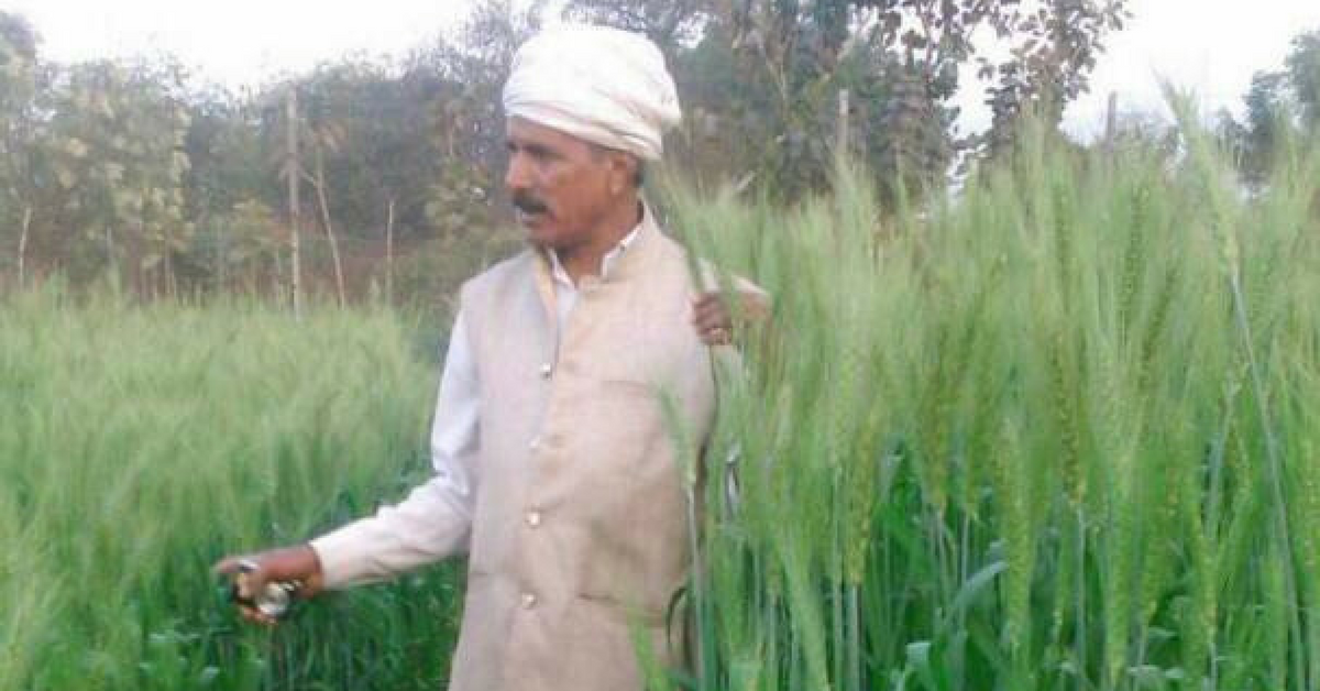 From School Dropout to Farmer-Scientist, This Man Has Developed 600+ Varieties of Native Seeds