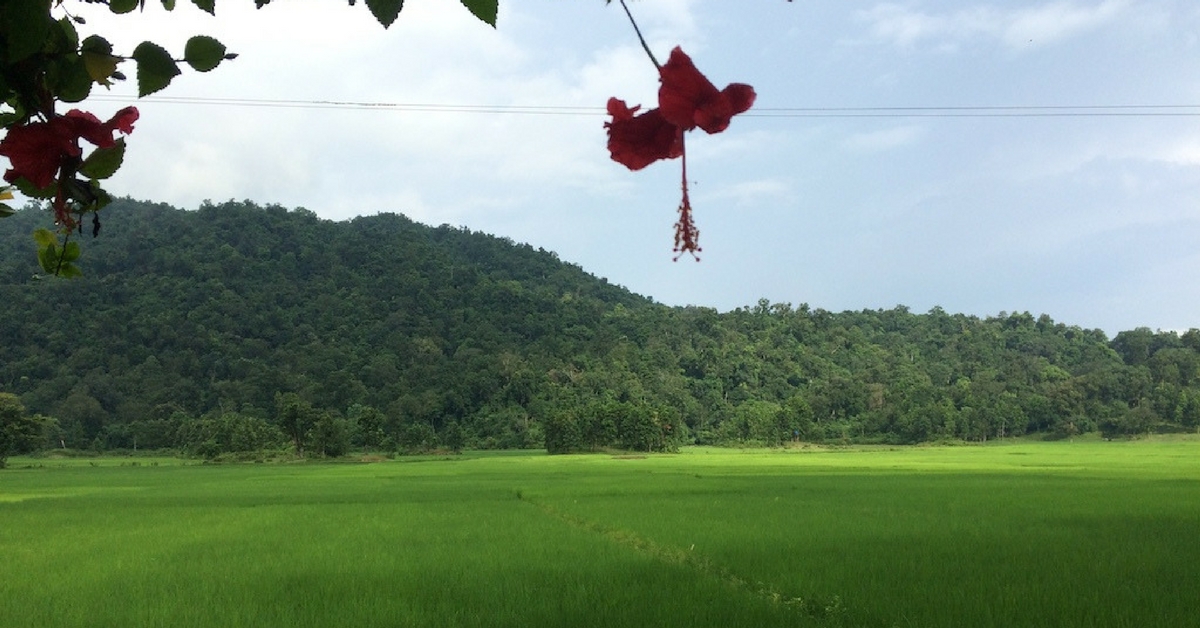 TBI Blogs: Small Water Pumps Are Scripting Success Stories for Marginal Farmers in Assam