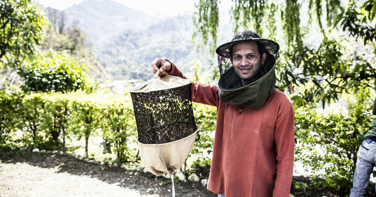 This Mechanical Engineer Quit His Job to Become a Beekeeper. His Life Has Been Buzzing Ever Since!