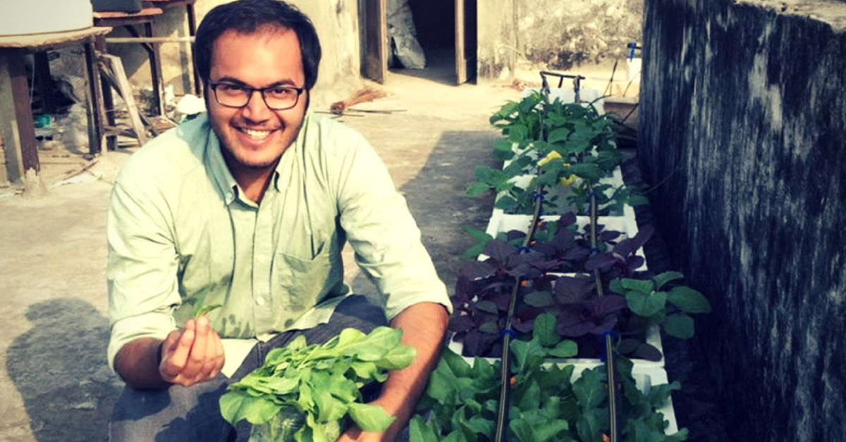 These IIT Kharagpur Alumni Show How You Can Grow Organic Veggies on Your Rooftop