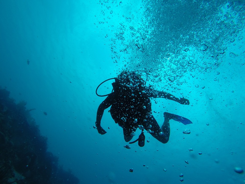 From ScubaDiving to Water Hockey. Here's What You Can Do at Mumbai's