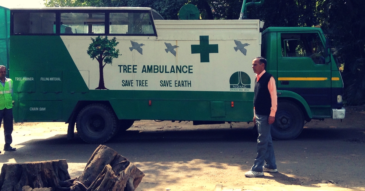 What Happens When Trees Fall Sick? In Delhi, an Ambulance Comes to Their Rescue