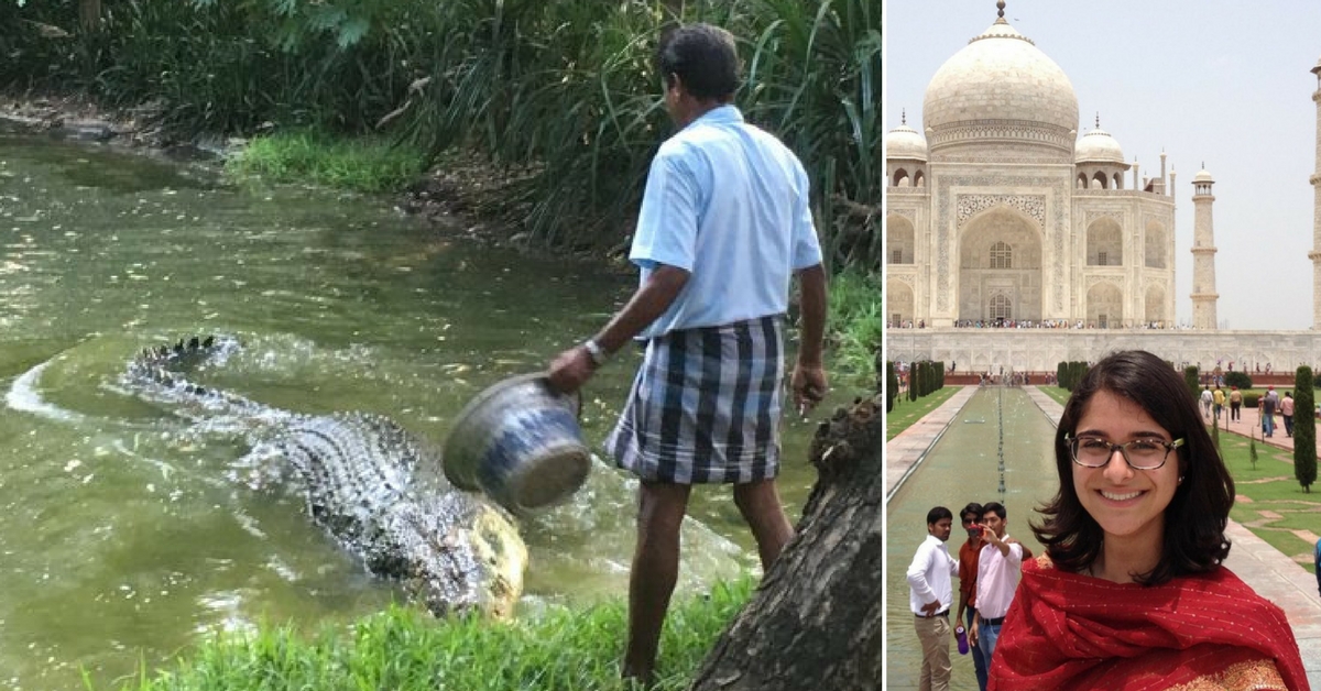 TBI Blogs: How I Discovered Fearlessness and Positivity at Tamil Nadu’s Crocodile Bank