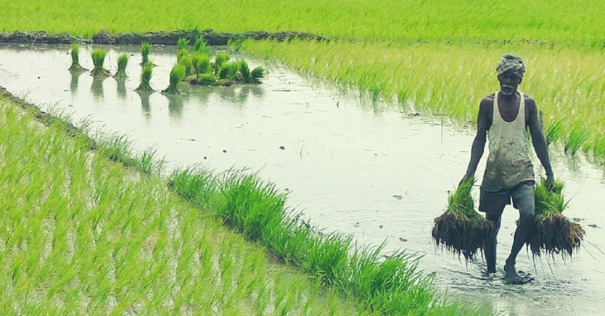 This Startup Is Helping Indian Farmers Turn Agriculture into a Sustainable & Profitable Business