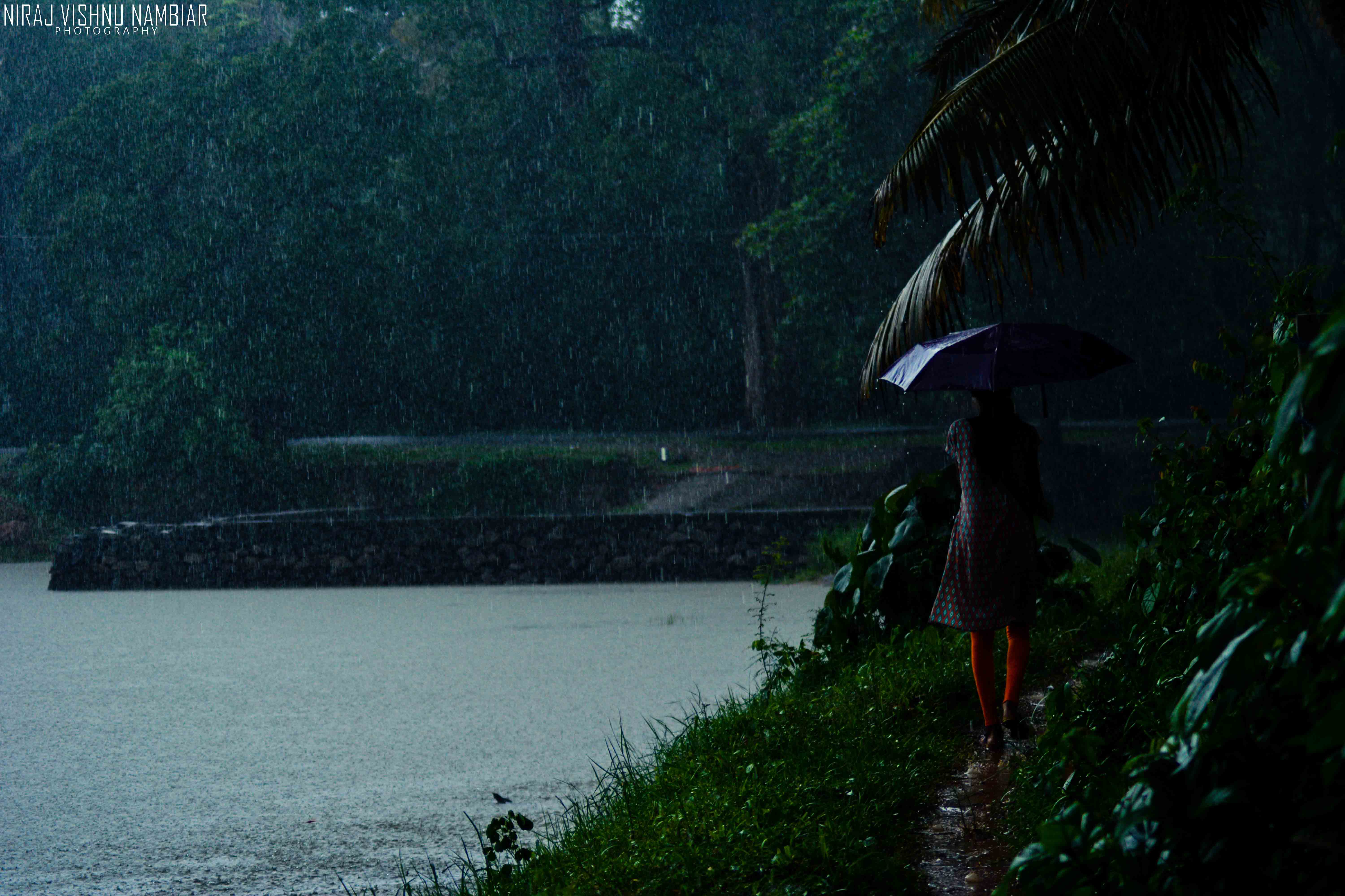 10 Pictures of Kerala Basking in Its Monsoon Glory