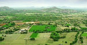 Opinion: What You Should Consider Before Becoming an Organic Farmer