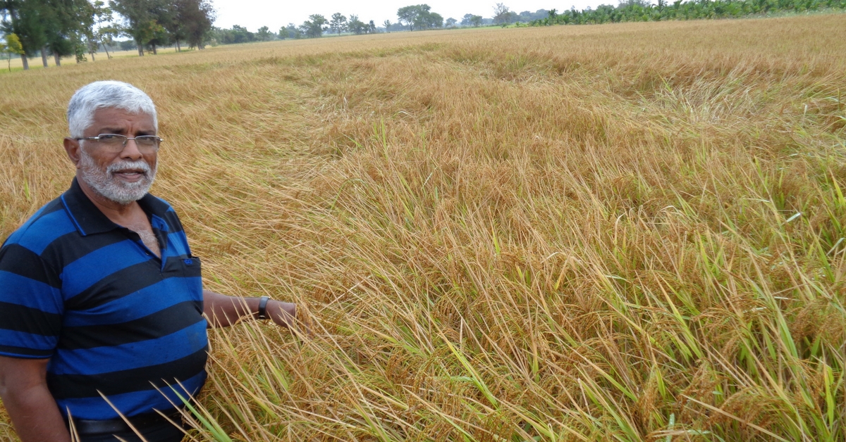 Drought Does Not Scare This Farmer. His Unconventional Methods Are Helping Him Survive & Thrive!
