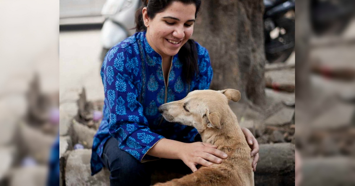 Jaagruti: Delhi Organisation with Onsite First-Aid Treatment for Stray Dogs