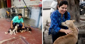 A Family's Commitment Has Helped Give Onsite Treatment to Over 2,000 Street Dogs in Delhi