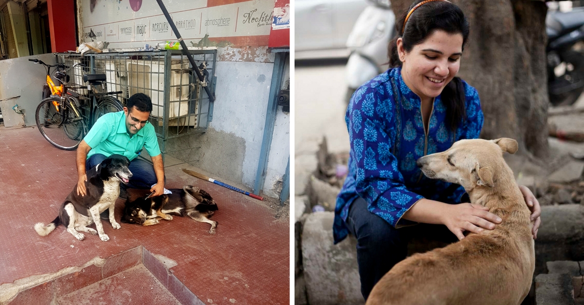 A Family’s Commitment Has Helped Give Onsite Treatment to Over 2,000 Street Dogs in Delhi