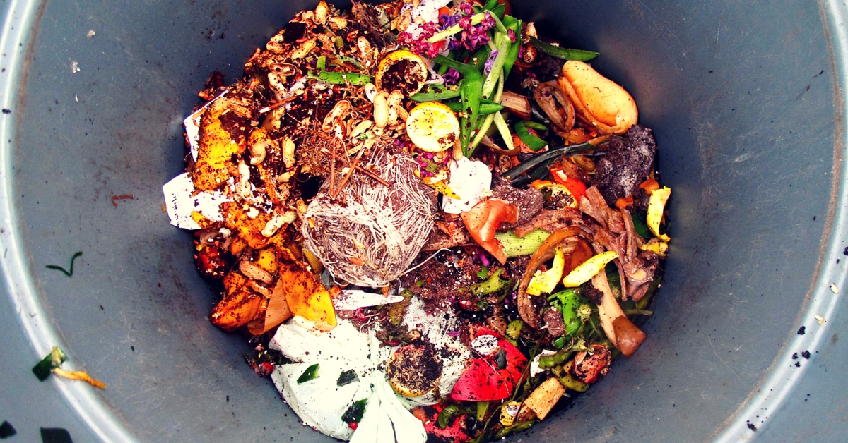 How Moving to India Forced Me to Confront My Food Waste Woes and Helped Me Become More Green!