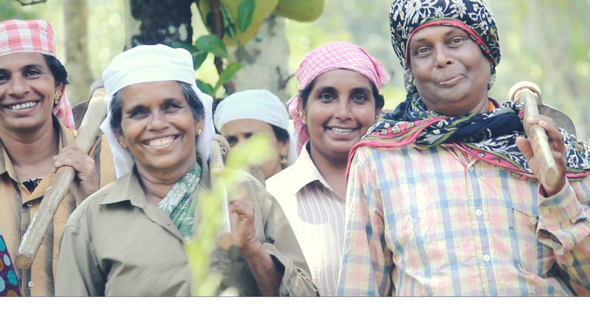 How a Small Village in Kerala Achieved What the World Is Struggling With – Becoming Carbon Neutral!