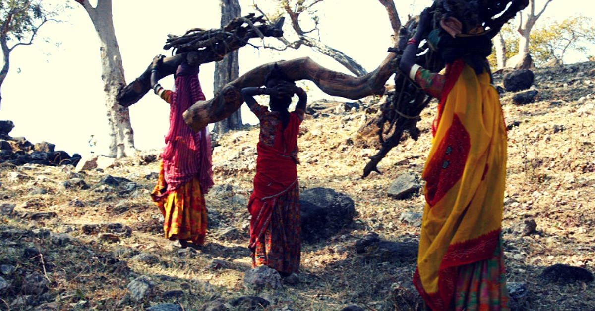 Save Trees & Earn: Gondia Farmers Are Getting Paid to Preserve Their Forests!