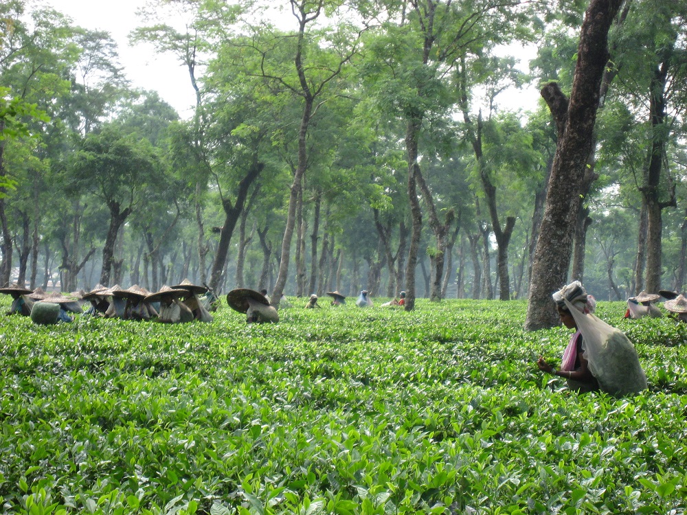 Northeast India Wants its Own Timezone. Here's Why.