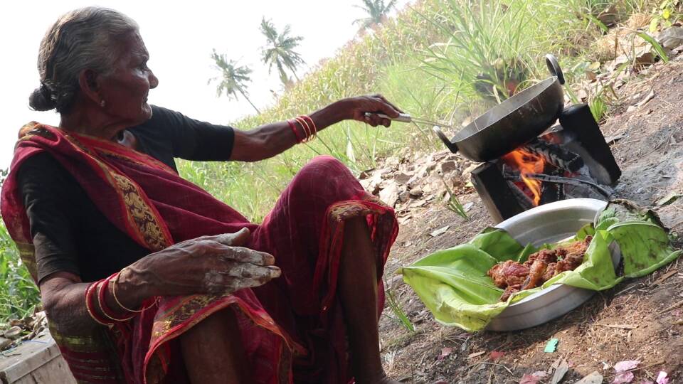 andhra-pradesh-mastanamma- worlds-oldest-youtuber