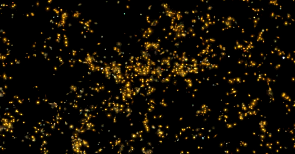 Team of Indian Astronomers Discovered a Supercluster of Galaxies and Named It Saraswati