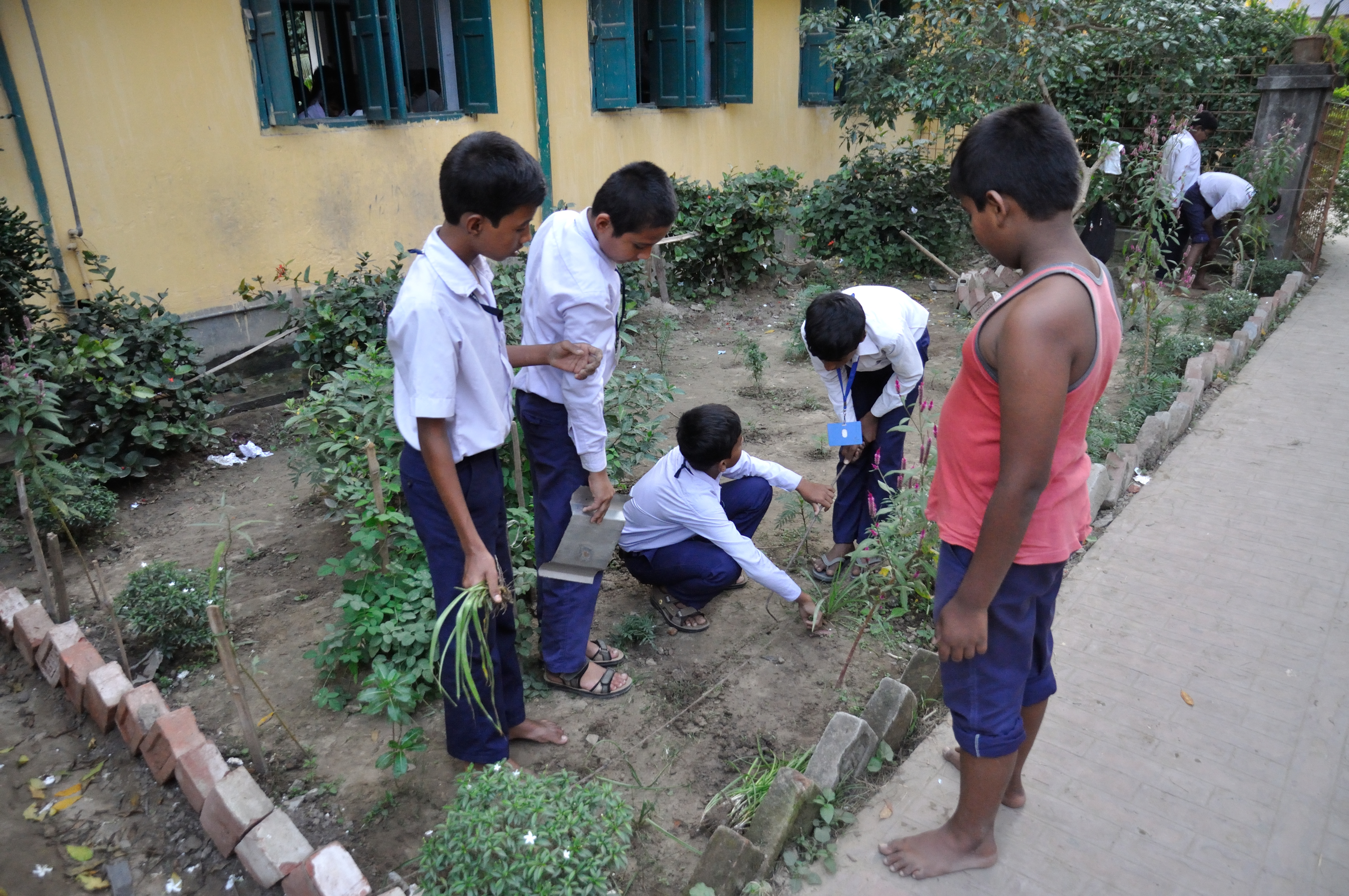 hyderabad-govt-school-plantation-saplings