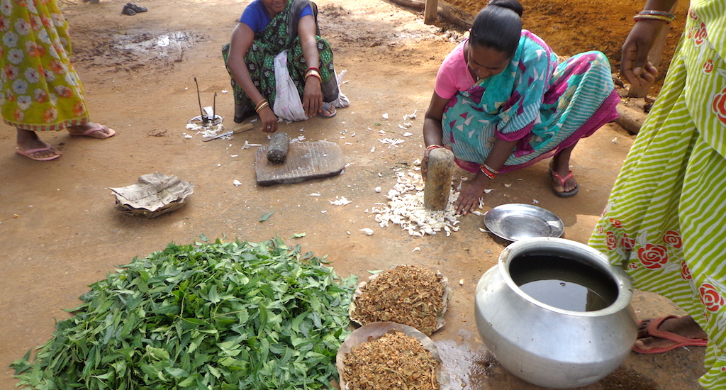 Farmers busy preparing organic pesticides for their fields. (Photo by Basudev Mahapatra)