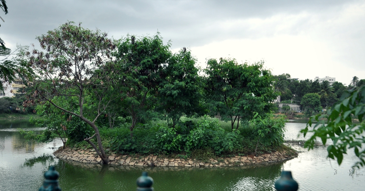 This Superhero Conservationist Is Making Bengaluru the Garden City Again & Saving Its Dying Lakes