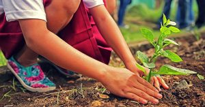 Tracing the Origins of Van Mahotsav, a Week-Long, Nation-Wide Festival That's All About Trees!