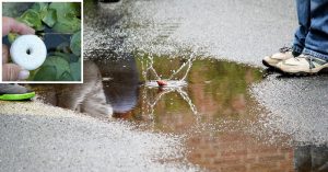 A Manipal-Based Company Has Developed This Unique 'Sweet Cake' to Kill Mosquitoes