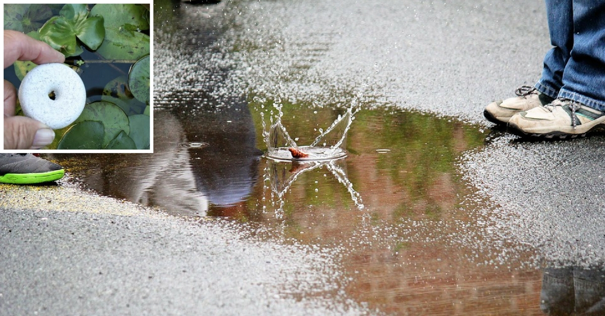 A Manipal-Based Company Has Developed This Unique ‘Sweet Cake’ to Kill Mosquitoes