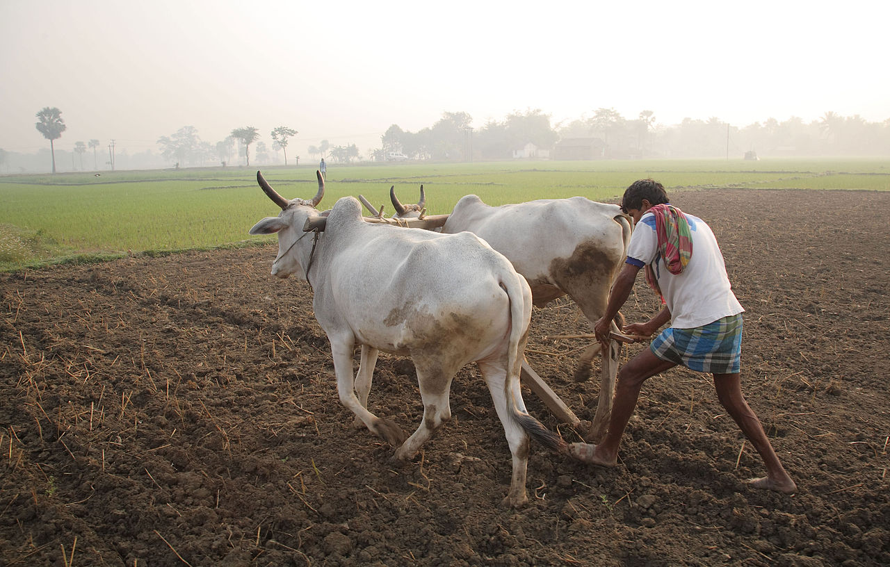 UP-farmer-farm-loan-waiver