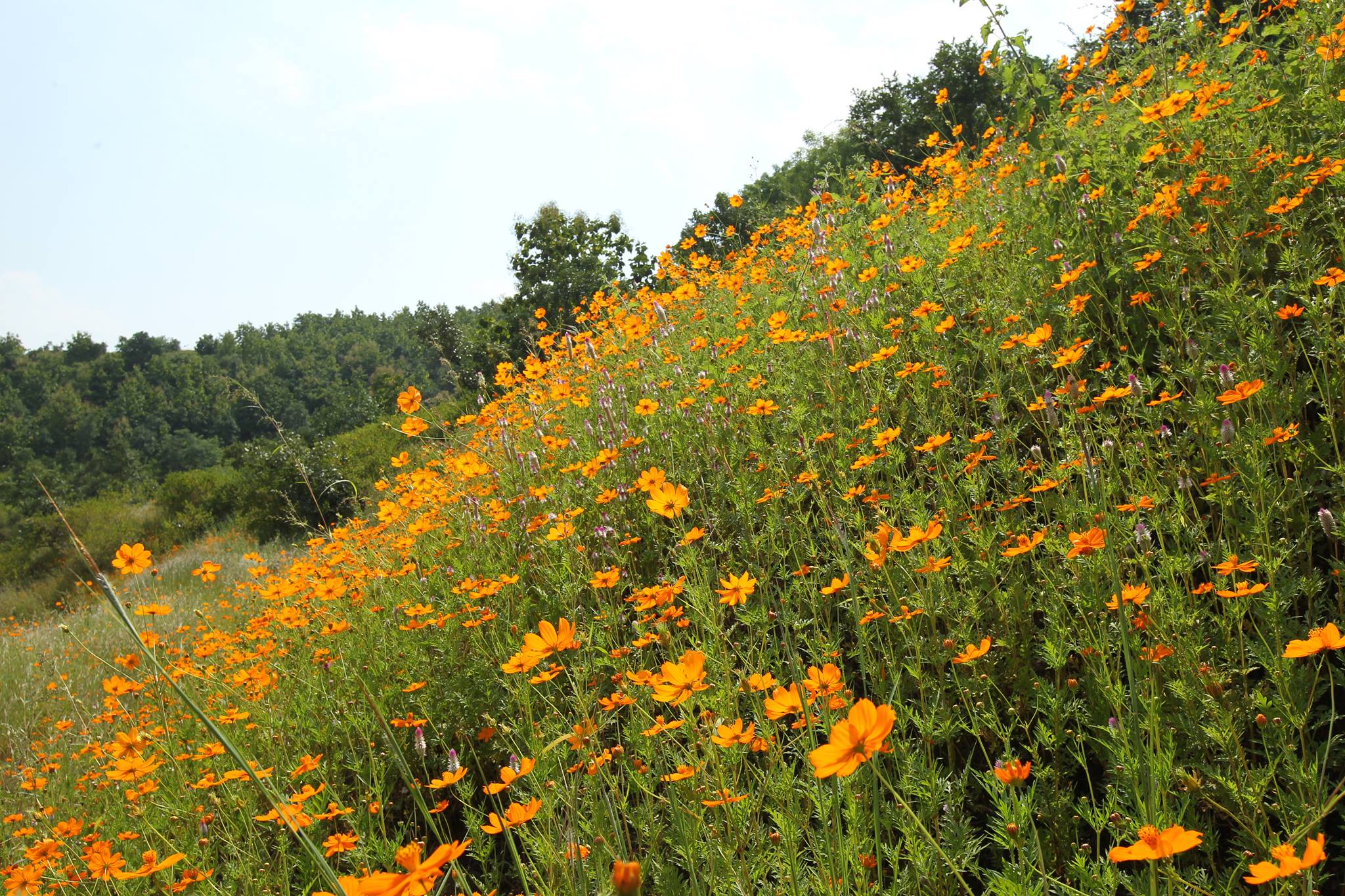 Malhara - Hill station - Madhya Pradesh- Nagpur