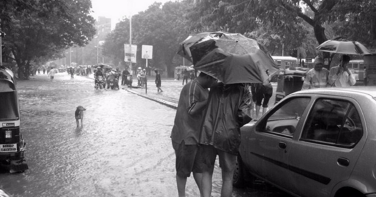 Mumbai Floods: Do Your Bit and Help Stray Animals Find a Dry Spot