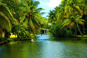 A Town Named After a Spice? Lesser-Known Stories of How 14 Kerala Towns Got Their Unique Names